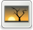 [thumbnail of PBI_10507159_BAU_TA.png]